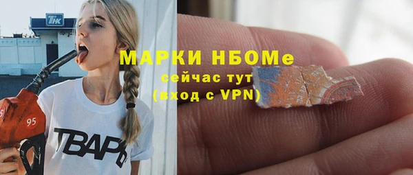 твердый Арсеньев