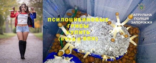 каннабис Аркадак