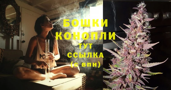 каннабис Аркадак
