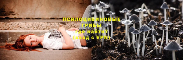 твердый Арсеньев