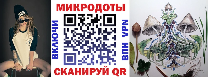 где продают наркотики  Юрьев-Польский  даркнет Telegram  Псилоцибиновые грибы ЛСД 